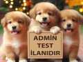 Admin Test İlanı