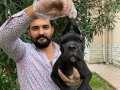 ÜST DÜZEY IRK GARANTİLİ CANE CORSO SİYAH YAVRULARI