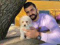 YUMUŞ ÖZEL RENK MALTİPOO YAVRULARIMIZ