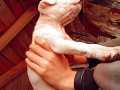 45 günlük  albino  safkan  yavru  