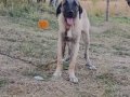 6 aylık agır siklet gelecegin devleri