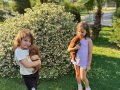 Kore anne altında lekesiz yavrular