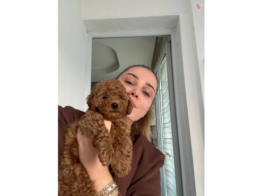 Ev doğumu erkek yavrumuz