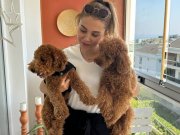 Ev doğumu toypoodle yavrularım