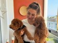 ToyPoodle yavrularım