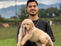 HARİKA MUHTEŞEM GOLDEN BEBEK