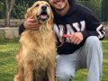 HARİKA MUHTEŞEM GOLDEN BEBEK