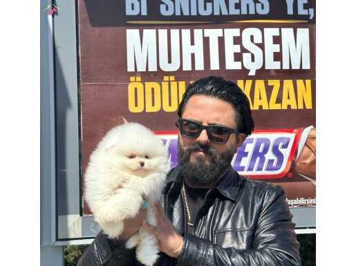 Ankara’nın gerçek Boo bebekleri 