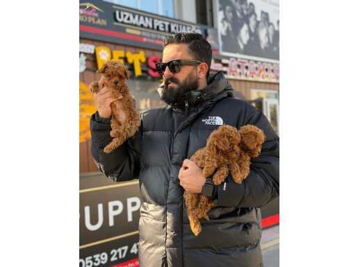 Ankara’nın en elit dünyası 