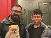 Avuç İçi Kadar Mutluluk: İkonik Kürklü Pomeranian Boo Yavrumuz