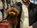 Toy Bebekler Ankara nın en güzelleri 
