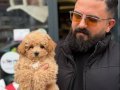 Tatlı Maltipoo Ankara