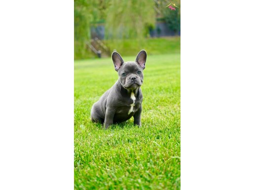 EŞSİZ BİR DENEYİM İÇİN BİZİ ARAMADAN KARAR VERMEYİN 