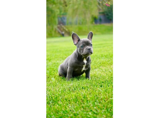 Eşsiz Bir Deneyim İçin Buradayız 