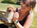 TEA CUP POODLE YAVRULARI SİZLERİ BEKLİYOR 