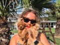 BİR BİRİNDEN GÜZEL TEACUP POODLE YAVRULARI 
