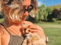 BİR BİRİNDEN GÜZEL TEACUP POODLE YAVRULARI 