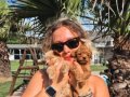 HARİKA POODLE YAVRULARI SİZLERİ BEKLİYOR 