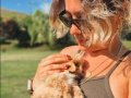 HARİKA POODLE YAVRULARI SİZLERİ BEKLİYOR 