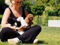 HARİKA POODLE YAVRULARI SİZLERİ BEKLİYOR 