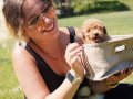 HARİKA POODLE YAVRULARI SİZLERİ BEKLİYOR 
