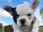 A kalite sıfır kuyruk 