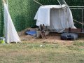 Mermi A kalite 