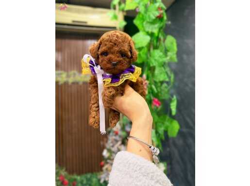 Güzel yüzlü kızımız