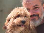 4 AYLIK DİŞİ VE ERKEK MİNYATÜR POODLE