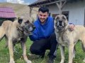 YURT DIŞI YURT İÇİ her gere gönderim sağlanır ORJİNAL SAF  