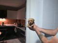 Tuvalet eğitimli minyatür minnaklarım 