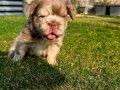 Big Rope Fluffy Yavrularım 