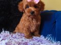 Peluş Prenses