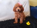 Peluş Bir Kız