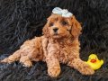 Peluş Bir Kız