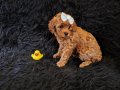 Peluş Bir Kız