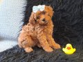 Peluş Bir Kız