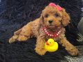 Peluş Bir Kız