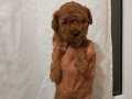 Safkan ırk garqntili toy poodle yavrular
