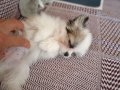 ÇOK GÜZEL BİR KIZ