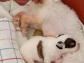 TATLI KIZIM YENİ YUVASINI ARIYOR SİZ OLURMUSUNUZ