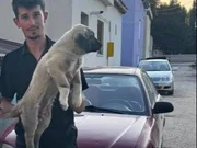Yurtiçi yurtdışı her ile ilçeye gönderim yapılır 