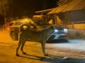 Sivas kangal yavrularımız her ile ilçeye gönderiyoruz 