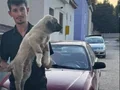 Yurtiçi yurtdışı her ile ilçeye gönderim yapılır 