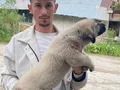 Yurtiçi yurtdışı her ile ilçeye gönderim yapılır 