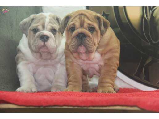 SINIFININ EN İYİSİ