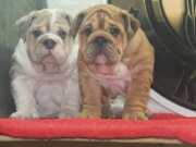 SINIFININ EN İYİSİ