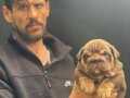 SİTENİN EN RENKLİ  İNGİLİZ  BULDOG BEBEKLERİ