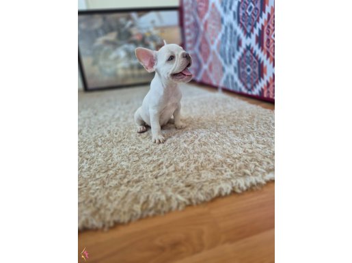 Üretici evinden evinize 