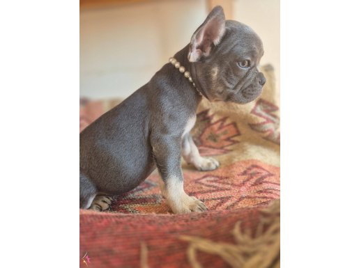 Anne ve baba ocağından yeni yuvasına 